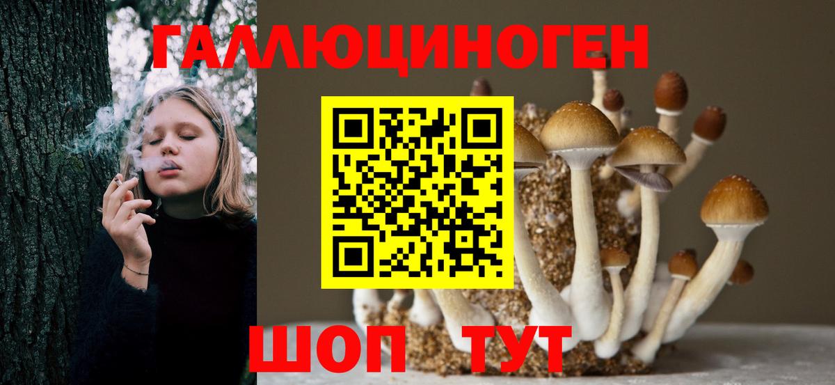 Псилоцибиновые грибы Magic Shrooms  Вход с VPN  Ржев 