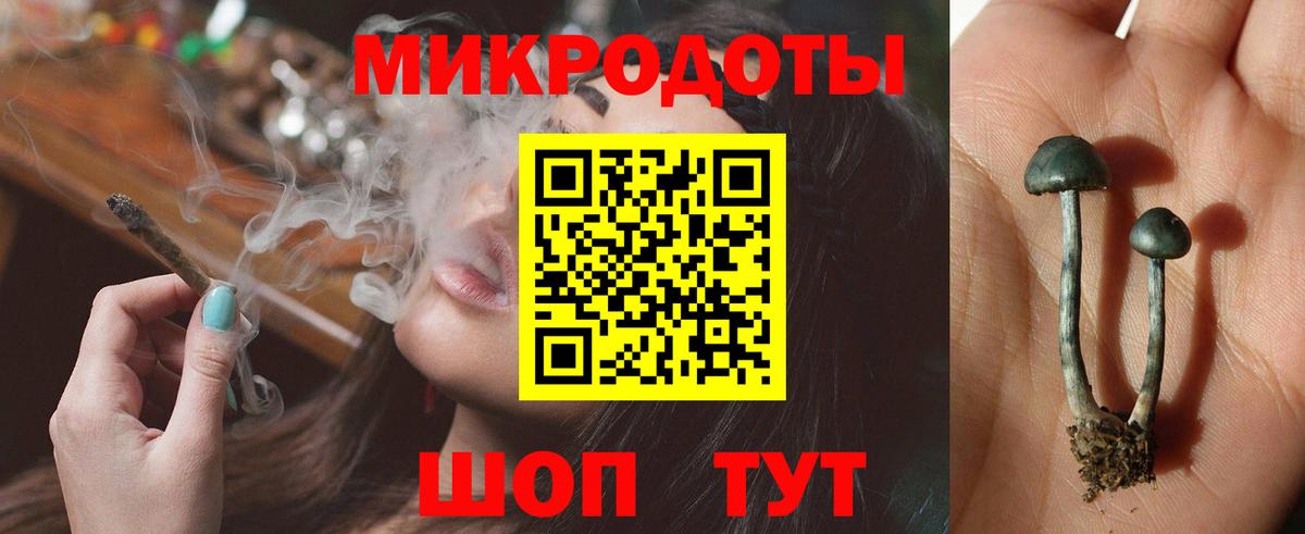 Галлюциногенные грибы Psilocybe Ржев